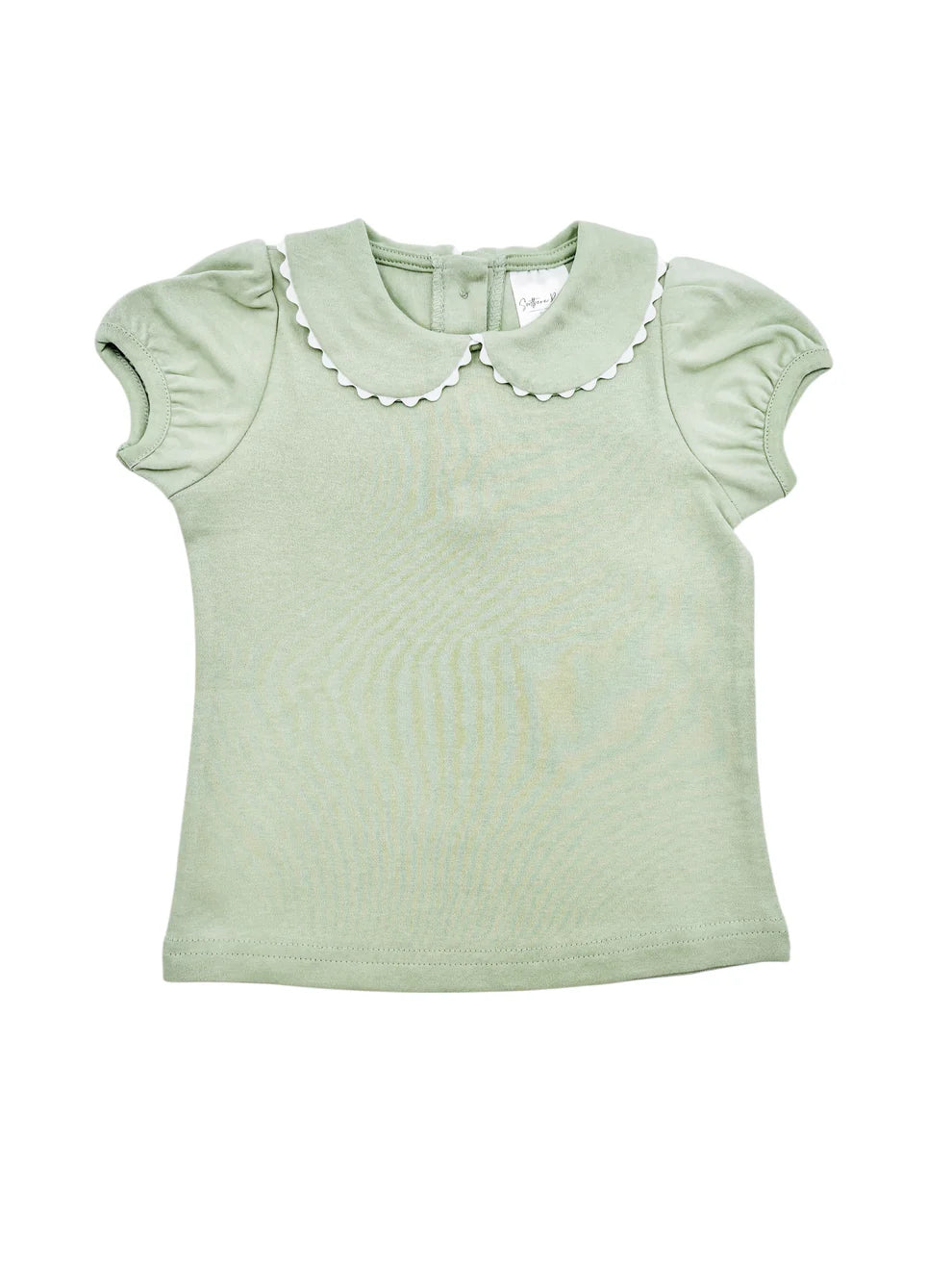 Scalloped Collard Short Sleeve