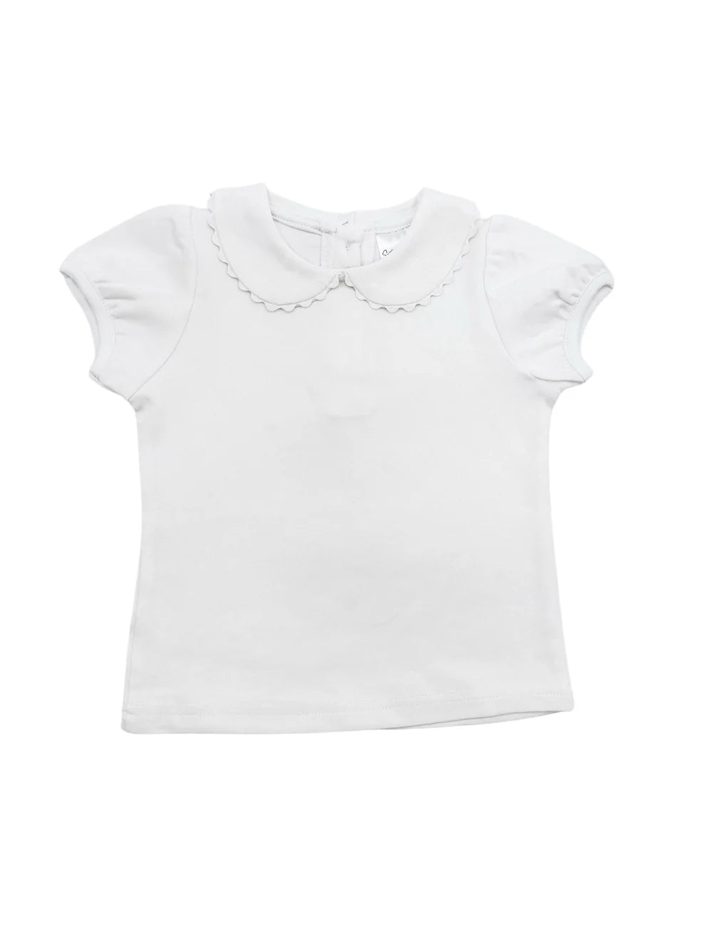 Scalloped Collard Short Sleeve