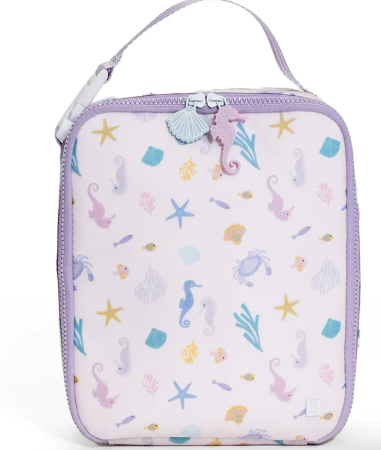 LUNCH BOX INSULATED LUNCH BAG